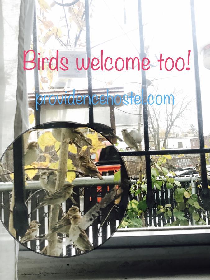 Providence Hostel & Guest House Extérieur photo